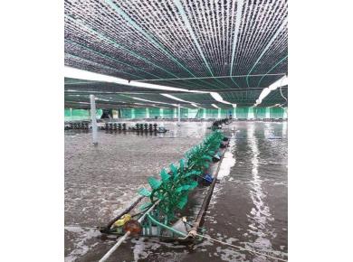 Hình ảnh sản xuất, thi công lưới nhựa